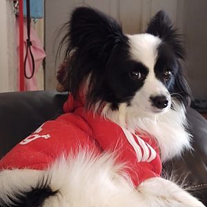 Meet your Posher, Jill